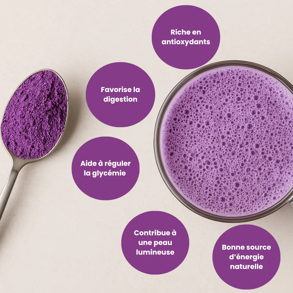 UBE, Poudre cultivée aux Philippines
